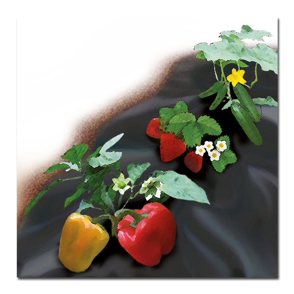 Sanifri garden - 470013602 Mulch-Folie 1,2 x 10 m , 20 my, schwarz
