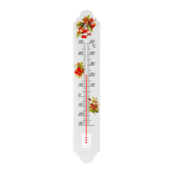 Sanifri home - Nostalgisches Thermometer, Metall, Motiv Beeren, 50x9cm
