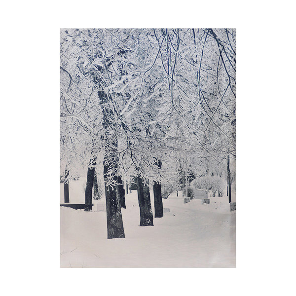 Sanifri home - Bild Winter, ca.58x75x2,5cm, Kunstdruck auf Leinwand, Motiv Verschneit